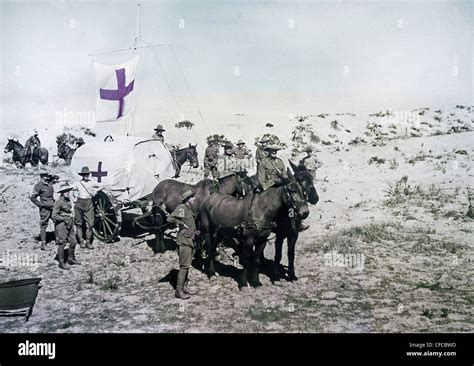 krieg horse|Iba pa.